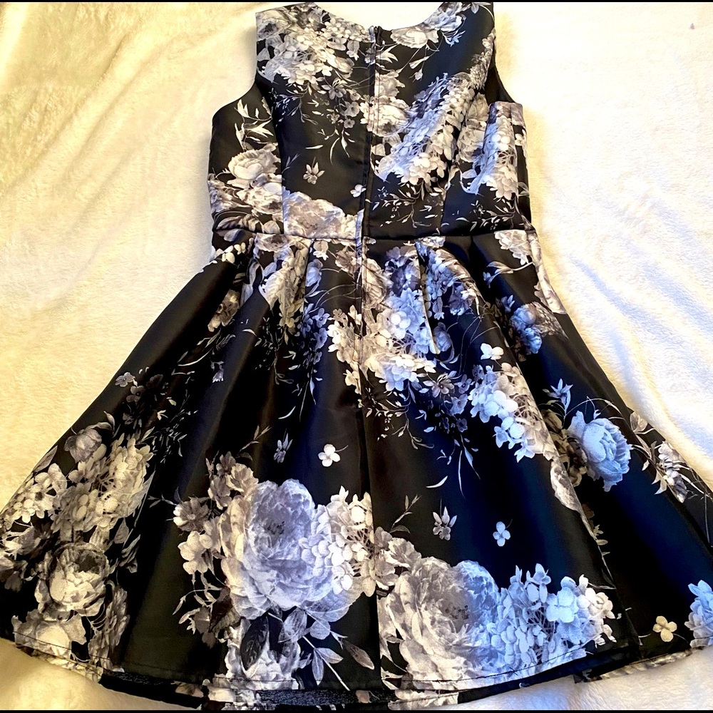 Chrystal Doll floral  Fit flare dress.